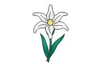 blume