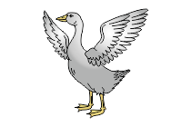 gans