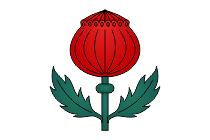 mohn