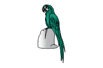 papagei