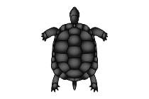 schildkroete