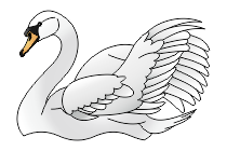schwan